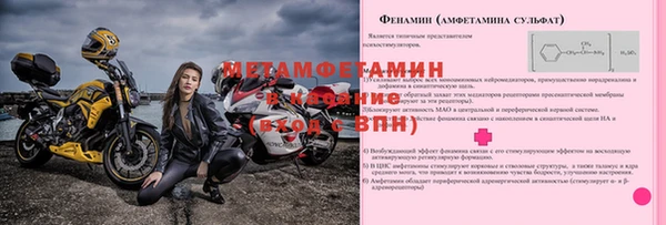 прущие грибы Ладушкин