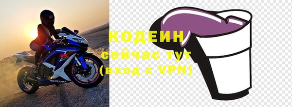 ПСИЛОЦИБИНОВЫЕ ГРИБЫ Кулебаки