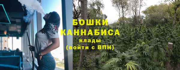 прущие грибы Ладушкин