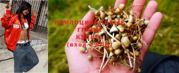 гашик Лабытнанги