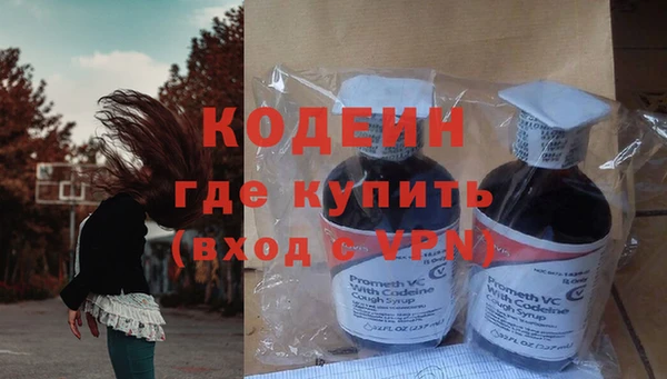 прущие грибы Ладушкин