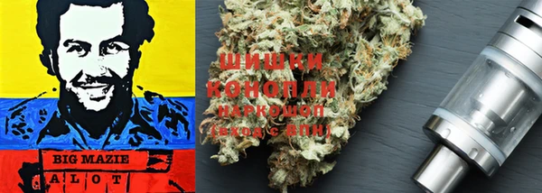 мдпв Лагань