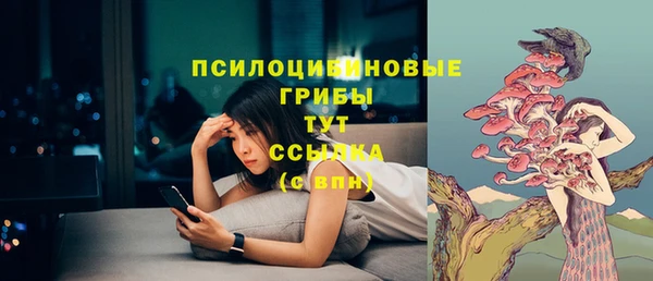 гашик Лабытнанги